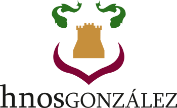 logo corporativo